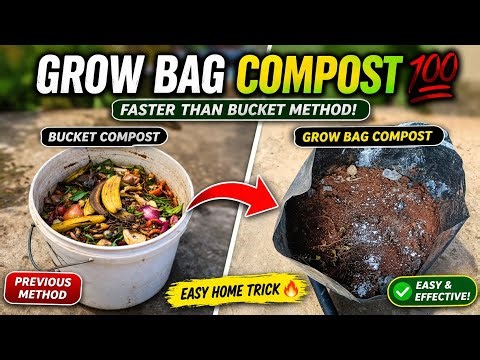 Kitchen Waste to Grow Bag Compost 💯 Easy Home Gardening Trick