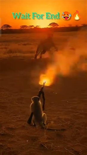 Monkey with AK-47 vs Lions! 🦁🔫 Jungle mein hungama! 💥