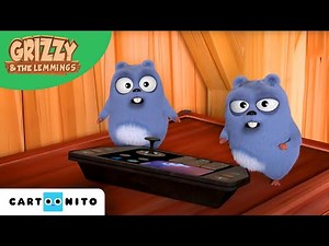 Grizzy i lemingi | Szalony pilot | Cartoonito