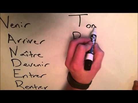 Dr. Mrs. P. Vandertramp Explained