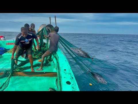 Ohh❗3 & 4 Day Fishing Video Full Capture 💢 INDIAN FISHING ADVENTURES