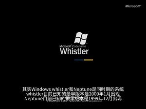 初见"luna”主题-Windows XP Build 2428