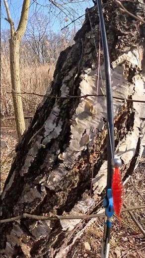 Secrets to Choosing the Perfect Spinning Rod #spinning #fishingrod