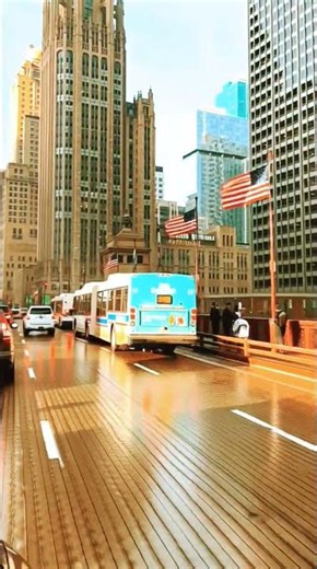 Iconic Chicago Cityscape | Tribune Tower & Michigan Avenue View