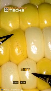 Sony’s surgical robot performs dazzling microsurgery on a corn kernel!