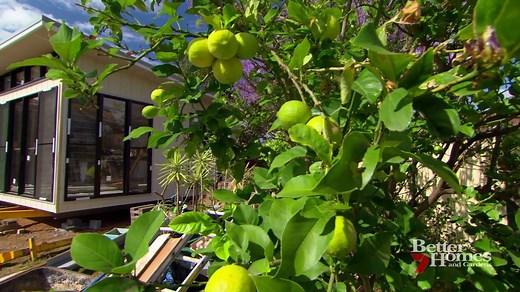 49K views · 190 reactions | Pre-fab extensions are taking Australia by storm- if you’re thinking about extending your home; you’ll want to see this. | Better Homes and Gardens Australia | Facebook