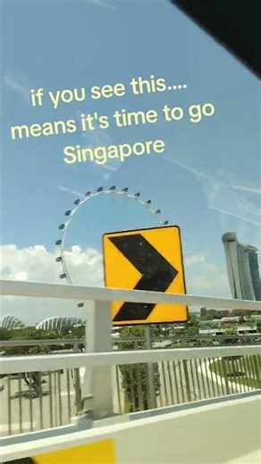 Singapore Flyer 🎡