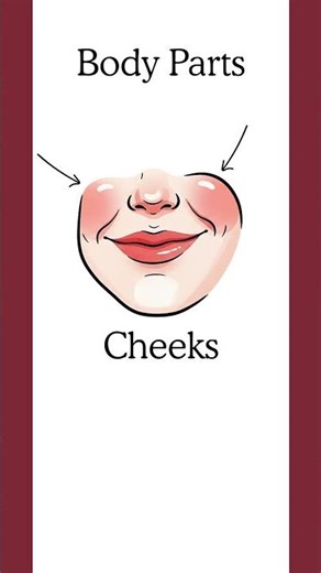 Cheeks – Body Parts English Flashcard & American Pronunciation