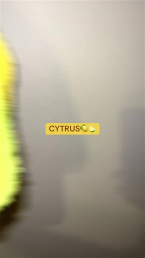 #szarpak #shaggy #malybiznes #handmade #pies