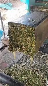 94K views · 321 reactions | Efficient Fodder Packing with Grinder Machine #FarmingInnovation #TimeSaver | Fact Pulse | Facebook