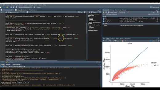 Standard scRNAseq preprocessing workflow with Seurat | Beginner R