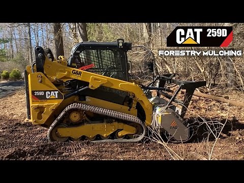 Forestry Mulching with a CAT 259D | FAE 150 Mulcher