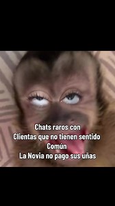 Chats raros con clientas que no tienen sentido común la novia no pagó sus uñas #viral #chisme #chismesito #foryou