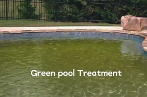 pool algaecide#algaecide