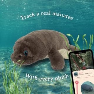 13K views · 50 reactions | Smokin' seagrass! We’ve got fincredible news: Our brand-new MANATEE TRACKING PLUSHIES are here! These adorable, bulbous buddies are the perfect addition to your collection, each with a QR code to track a real manatee in the wild. Dive into the link below to grab yours today and make a splash for animal conservation!  https://myfahlo.com/products/manatee-tracking-plush | Fahlo | Facebook