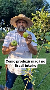 5.7K reactions · 153 comments | Escolha uma variedade adaptada ao seu clima e use na adubação 300g de calcário filler, 200gr de super simples, uma bacia serrapilheira e cinza de madeira para cobrir. Vem comigo. #campo #agro #roça #solo #agricultura #plantas #oagronomodevera | O Agronomo Vera Isnael Nonato | Facebook