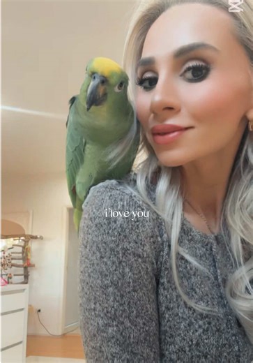 Happy 2nd Birthday Valerie 🎂 ✨ 2 years of loving you. 2 years of the greatest time of my life. ⏱️ 2 years ago, you saved me. 🦜 No one prepares you for what it’s really like to love a bird. the mess, the cleaning, the feeding, the caring… and the moment the biggest piece of your heart disappears the second she flew over and land on my head. We fight like she’s a literal human, her tiny brain way too smart for its own good, always knowing exactly how to get on mummy’s nerves or back into my good