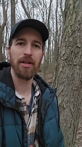 Tapping maple trees 🍁 #maplesyrup #maplesap #mapletapping #outdoors #selfreliance #homesteading #selfsufficient | Bushcraft Life