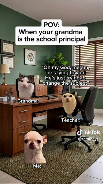 When Your Grandma Is the School Principal - Funny Cat Meme
