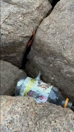 海洋汚染の主因であるマイクロプラスチックを減らすため、ビーチクリーンで地球環境を守ろう。#ビーチクリーン #大阪湾#海洋汚染