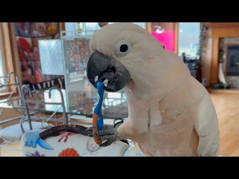 A new gift box from Auntie K in Norway 🧡💖