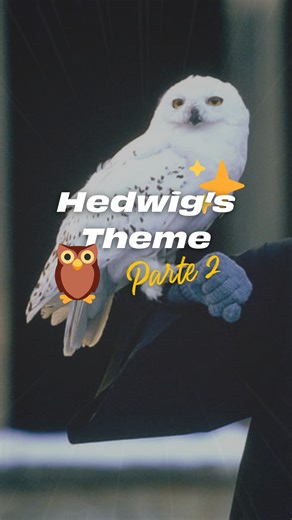 "Hedwig's Theme" - Parte 2 Harry Potter and The Sorcerer's Stone (John Williams) ¡Vídeo completo en nuestro canal de YouTube! 🎞️ #HarryPotter #FilmSymphonyOrchestra | Film Symphony Orchestra