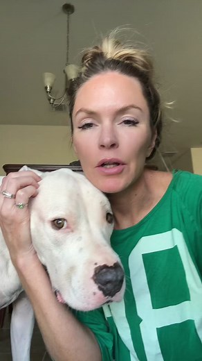 I’m saying this as someone who, 12 years ago, believed all the bull until I adopted my own first pit mix. When I tell you I was shocked and disgusted when I learned firsthand that none of the propoganda was true- they do NOT “randomly attack or snap” and “lockjaw” is a neurological disorder, not a personality trait. Many descendants of today’s pit bulls were bred for guarding and fighting (i’m not sure if the nanny dog theory is true, though I believe it, watching ours with our kids). They’re st