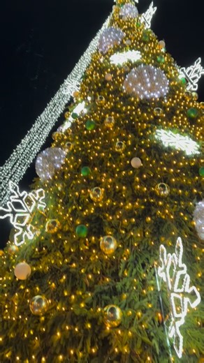 Jeigu dar neįtraukėt į savo lankomų vietų sąrašą Marijampolės — kviečiam tai padaryt dabar!🎄 Marijampolės savivaldybė šventinių eglučių alėja vakar buvo įžiebta, tad kartu su Marijampolės Interact klubas įvertinom ir išbandėm 😌 | Marijampolės Rotaract klubas