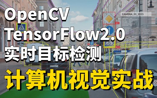 【OpenCV+TensorFlow2.0】华理博士带你做项目，这绝对是公认最好的计算机视觉图像处理实战教程！（人工智能丨深度学习丨目标识别）