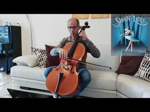 Swan Lake Theme🎵 #maccarronecello #tchaikovsky #romantic #classicalmusic #classic #violoncello