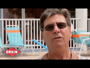 How Orkin Bed Bug ProAct® Helps Protect Hotels - Orkin for Your Business