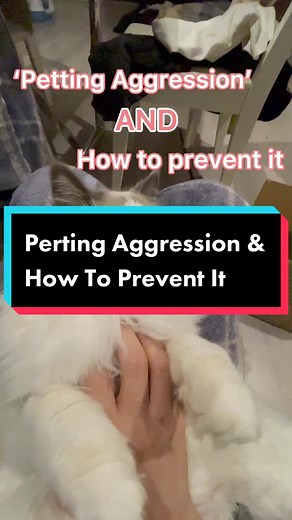 Understanding Cat Biting Behavior: Tips to Prevent Petting Aggression