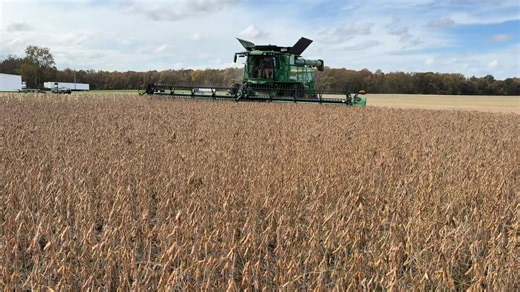 Atlantic Tractor on Reels