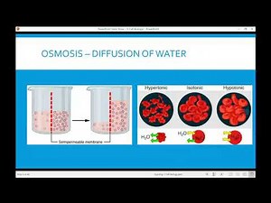 Cellular Level of Organization