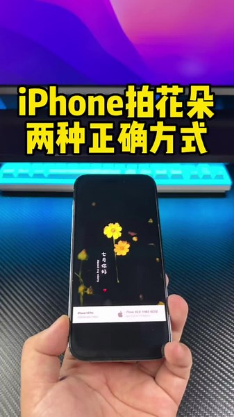 iPhone拍摄花朵的两种专业技巧