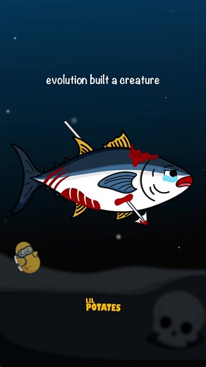 Why the Tuna Fish is the most cursed sea creature #tuna #educational #animal #seacreatures #fyp 🇺🇸