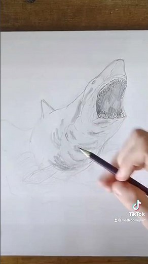 Drawing The Megalodon Shark 🦈
