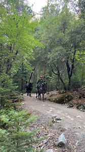 679K views · 33K reactions | Mules today are essential to many Search...