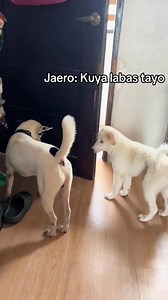 Si Jaero na puro laro. | Robert Solis