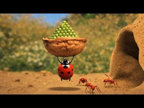 Bug Finding Eggs 🐞🐞 Minuscule And Friends 🍃 25' Compilation