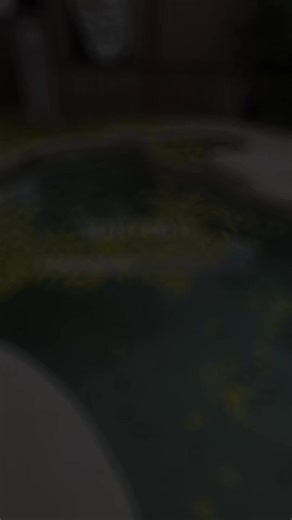 #PoolMaintenance #PoolCleaning #PoolRepair #PoolRemodel #PoolEquipment