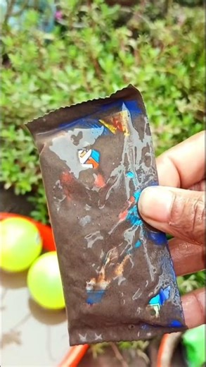 Wash the food and eat it #bushcraft #lifehacks #shorts