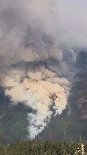 TheHotshotWakeUp: Substack/Podcast on Instagram: "Washington: The Bear Gulch Fire in Mason county has grown to 2,000 acres after it spotted across the North Fork of the Skokomish River. The fire made crown runs through the timber as it moved upslope. Fire managers expect long range spotting today as dry weather, warm temps, and topography all align. The fire is 8% contained, determined to be human caused, and evacuations remain for the Staircase campground and the North side of Lake Cushman. Tha