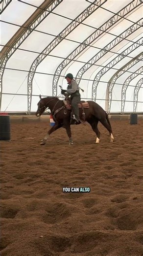 Barrel Racing Drills
