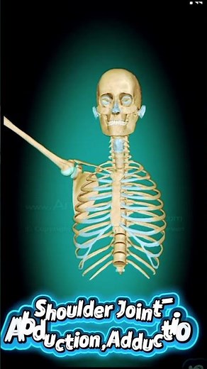 Movements of Shoulder Joint-Adduction,Abduction,Flexion,Extension#medicalknowledge #biology #mbbs