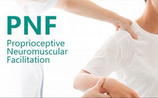 本体感觉神经肌肉促进技术（PNF）上肢D1F模式演练
