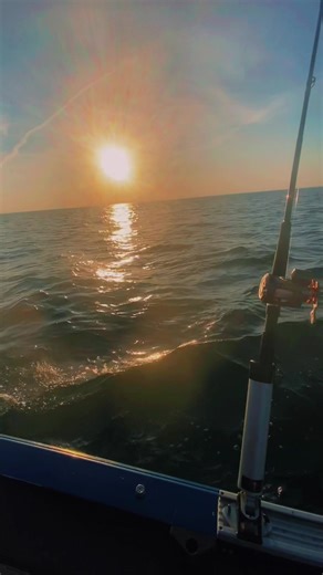 Back to the walleye grind last night 3 man limit in 2 hours can’t beat #lakeerie. #like #comment #share #walleye #tooturnttea #fishusa #mercurymarine #lowe #boats #blessed