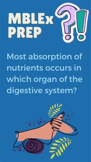MBLEX Prep Question 471 - Digestive System