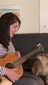 Back in the day we were 🎇🎆 #fireworks @Katy Perry #dogs #dogsoftiktok #duet #singing _056 | Mss Pam