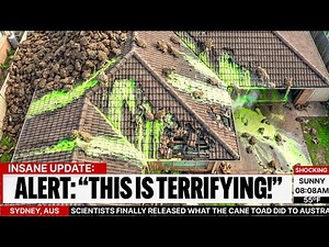 Biologists Finally Exposed Australia's Cane Toad Invasion — The Truth Is Darker Than Expected